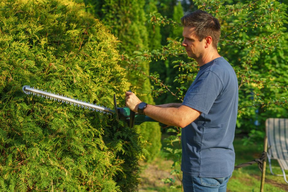 Gardening & Landscaping